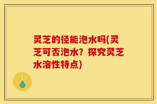 灵芝的径能泡水吗(灵芝可否泡水?探究灵芝水溶性特点)