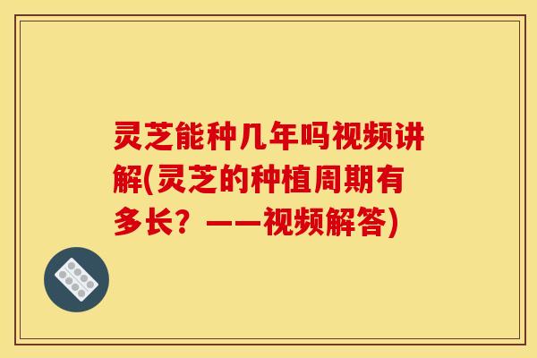 灵芝能种几年吗视频讲解(灵芝的种植周期有多长？——视频解答)