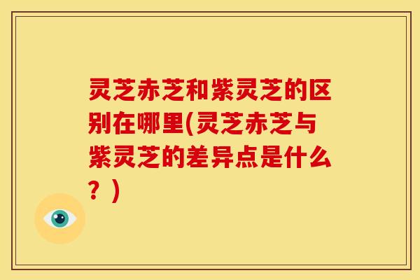 灵芝赤芝和紫灵芝的区别在哪里(灵芝赤芝与紫灵芝的差异点是什么?)