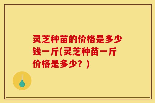 灵芝种苗的价格是多少钱一斤(灵芝种苗一斤价格是多少?)
