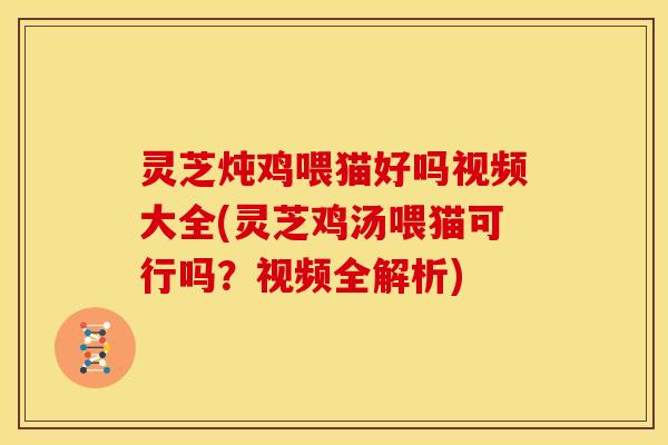 灵芝炖鸡喂猫好吗视频大全(灵芝鸡汤喂猫可行吗？视频全解析)