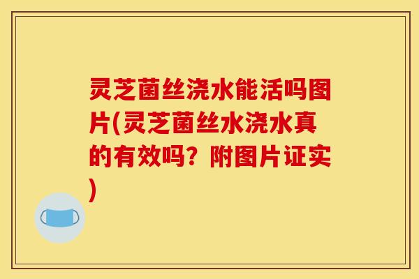 灵芝菌丝浇水能活吗图片(灵芝菌丝水浇水真的有效吗?附图片证实)