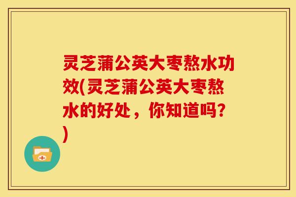 灵芝蒲公英大枣熬水功效(灵芝蒲公英大枣熬水的好处,你知道吗?)
