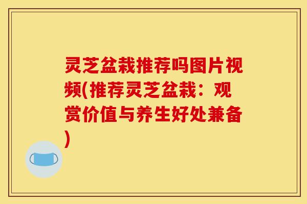 灵芝盆栽推荐吗图片视频(推荐灵芝盆栽：观赏价值与养生好处兼备)