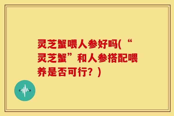 灵芝蟹喂人参好吗(“灵芝蟹”和人参搭配喂养是否可行?)