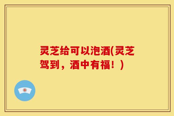灵芝给可以泡酒(灵芝驾到，酒中有福！)