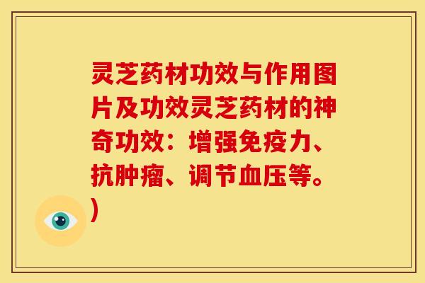 灵芝药材功效与作用图片及功效灵芝药材的神奇功效:增强免疫力、抗肿瘤、调节血压等。)