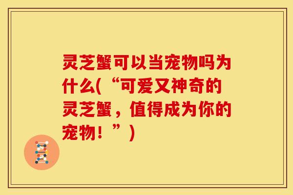 灵芝蟹可以当宠物吗为什么(“可爱又神奇的灵芝蟹,值得成为你的宠物!”)