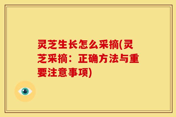 灵芝生长怎么采摘(灵芝采摘:正确方法与重要注意事项)