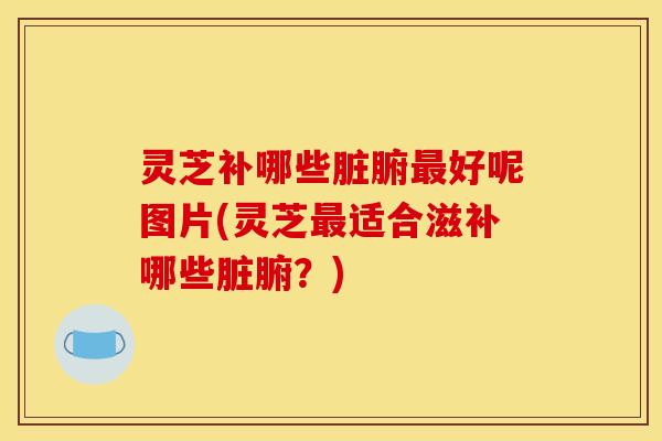 灵芝补哪些脏腑最好呢图片(灵芝最适合滋补哪些脏腑？)