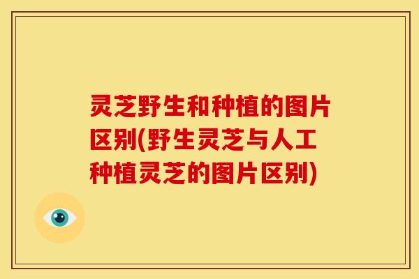 灵芝野生和种植的图片区别(野生灵芝与人工种植灵芝的图片区别)