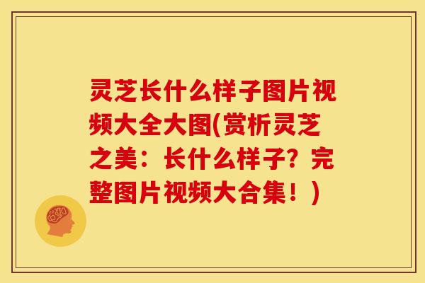 灵芝长什么样子图片视频大全大图(赏析灵芝之美:长什么样子?完整图片视频大合集!)