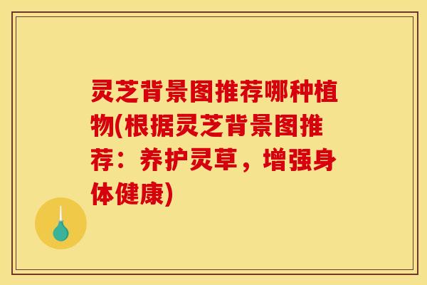 灵芝背景图推荐哪种植物(根据灵芝背景图推荐:养护灵草,增强身体健康)