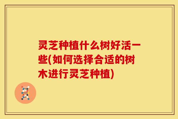 灵芝种植什么树好活一些(如何选择合适的树木进行灵芝种植)