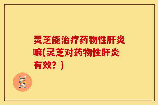 灵芝能治疗药物性肝炎嘛(灵芝对药物性肝炎有效?)