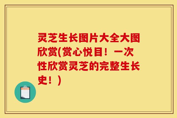 灵芝生长图片大全大图欣赏(赏心悦目!一次性欣赏灵芝的完整生长史!)