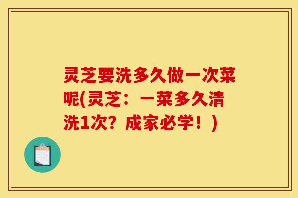 灵芝要洗多久做一次菜呢(灵芝:一菜多久清洗1次?成家必学!)