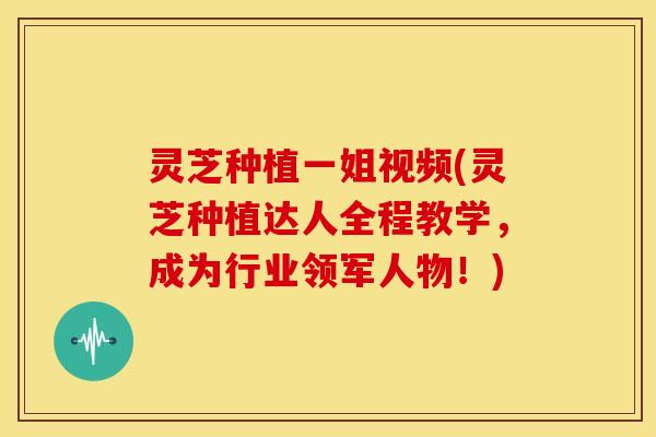 灵芝种植一姐视频(灵芝种植达人全程教学，成为行业领军人物！)