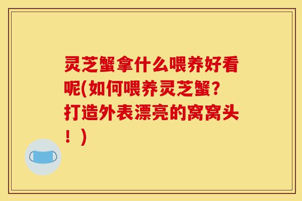 灵芝蟹拿什么喂养好看呢(如何喂养灵芝蟹?打造外表漂亮的窝窝头!)
