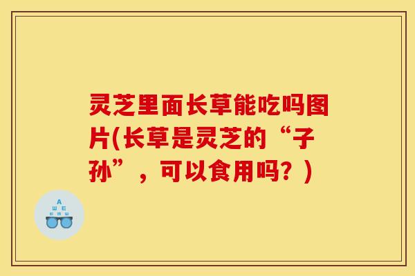 灵芝里面长草能吃吗图片(长草是灵芝的“子孙”，可以食用吗？)