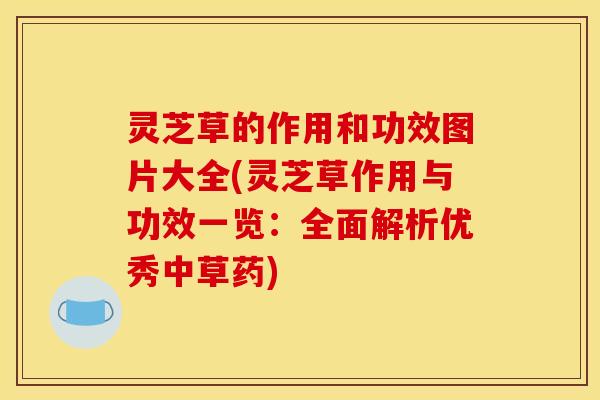 灵芝草的作用和功效图片大全(灵芝草作用与功效一览:全面解析优秀中草药)