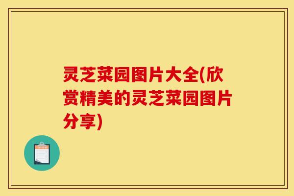 灵芝菜园图片大全(欣赏精美的灵芝菜园图片分享)