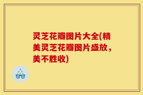 灵芝花瓣图片大全(精美灵芝花瓣图片盛放,美不胜收)