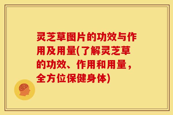 灵芝草图片的功效与作用及用量(了解灵芝草的功效、作用和用量,全方位保健身体)
