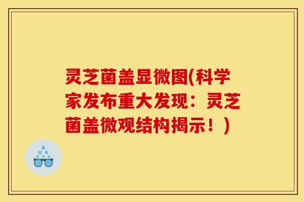 灵芝菌盖显微图(科学家发布重大发现:灵芝菌盖微观结构揭示!)