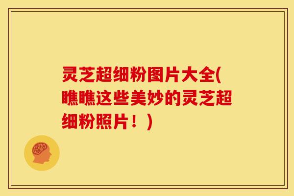灵芝超细粉图片大全(瞧瞧这些美妙的灵芝超细粉照片!)