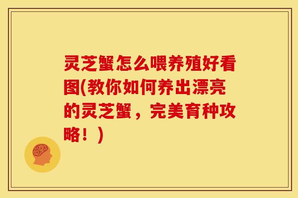 灵芝蟹怎么喂养殖好看图(教你如何养出漂亮的灵芝蟹,完美育种攻略!)