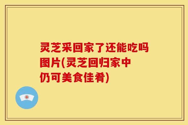 灵芝采回家了还能吃吗图片(灵芝回归家中 仍可美食佳肴)