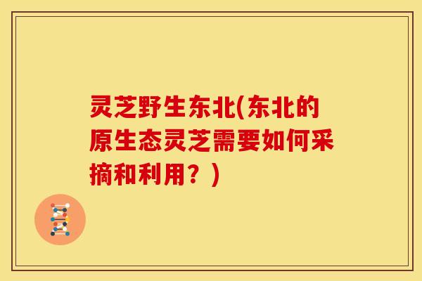 灵芝野生东北(东北的原生态灵芝需要如何采摘和利用?)