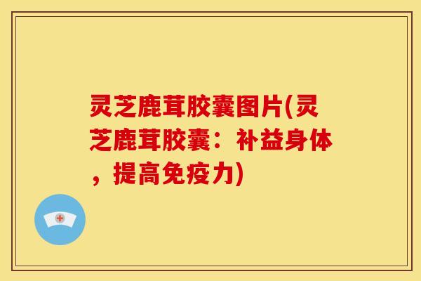 灵芝鹿茸胶囊图片(灵芝鹿茸胶囊：补益身体，提高免疫力)