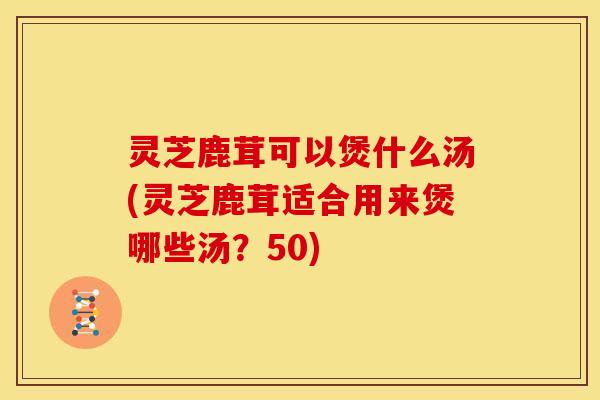 灵芝鹿茸可以煲什么汤(灵芝鹿茸适合用来煲哪些汤?50)