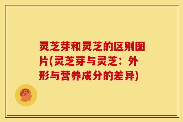 灵芝芽和灵芝的区别图片(灵芝芽与灵芝：外形与营养成分的差异)