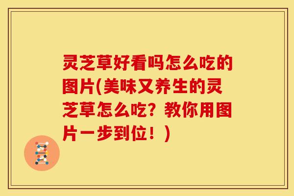 灵芝草好看吗怎么吃的图片(美味又养生的灵芝草怎么吃?教你用图片一步到位!)