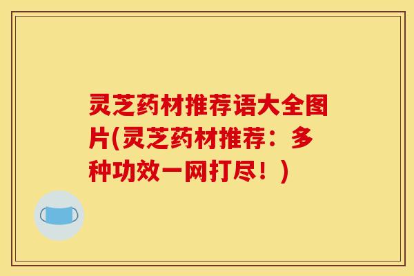 灵芝药材推荐语大全图片(灵芝药材推荐:多种功效一网打尽!)