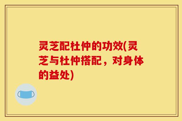 灵芝配杜仲的功效(灵芝与杜仲搭配,对身体的益处)