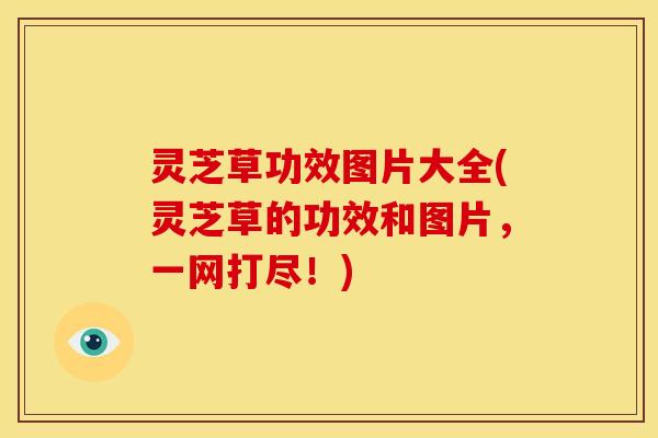 灵芝草功效图片大全(灵芝草的功效和图片,一网打尽!)