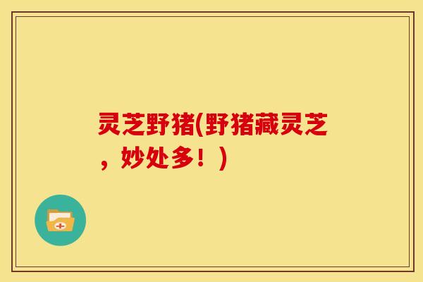 灵芝野猪(野猪藏灵芝,妙处多!)