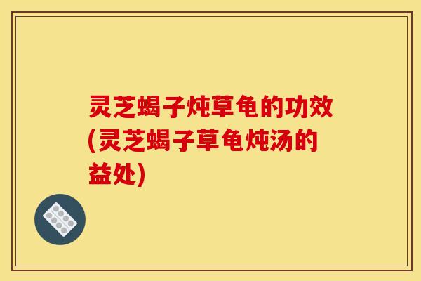 灵芝蝎子炖草龟的功效(灵芝蝎子草龟炖汤的益处)