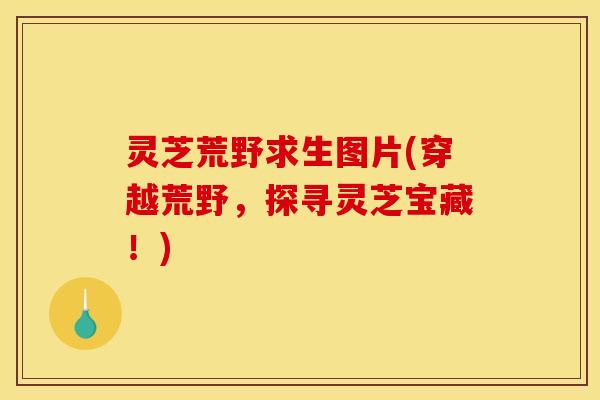 灵芝荒野求生图片(穿越荒野,探寻灵芝宝藏!)