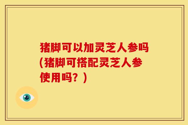 猪脚可以加灵芝人参吗(猪脚可搭配灵芝人参使用吗？)