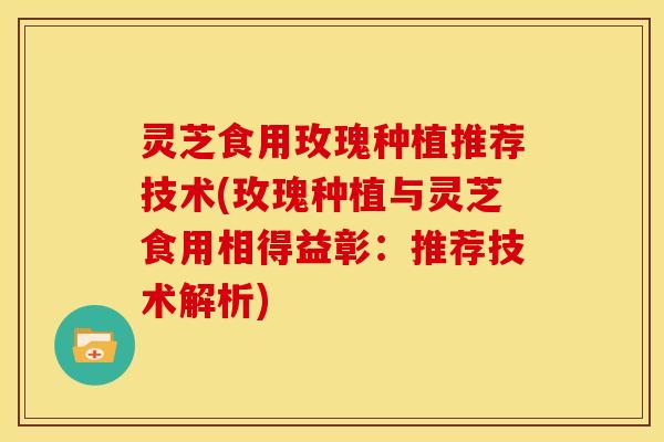 灵芝食用玫瑰种植推荐技术(玫瑰种植与灵芝食用相得益彰:推荐技术解析)