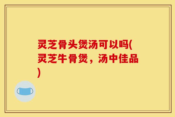 灵芝骨头煲汤可以吗(灵芝牛骨煲,汤中佳品)
