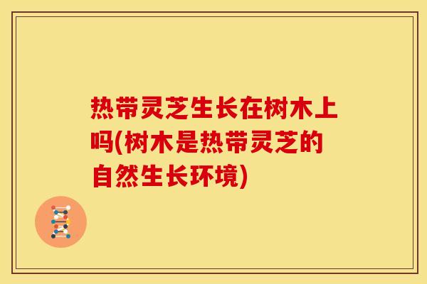 热带灵芝生长在树木上吗(树木是热带灵芝的自然生长环境)