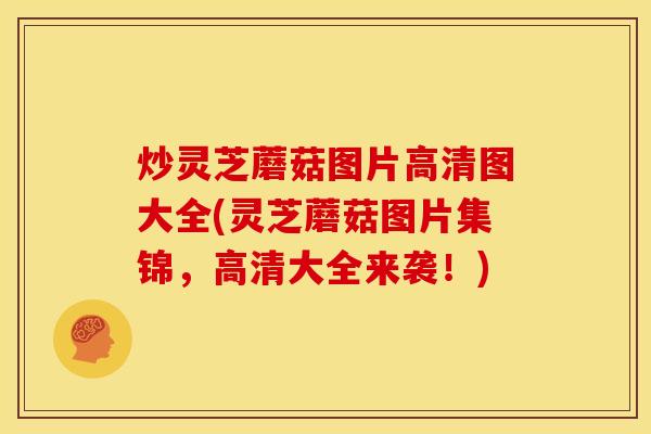 炒灵芝蘑菇图片高清图大全(灵芝蘑菇图片集锦,高清大全来袭!)