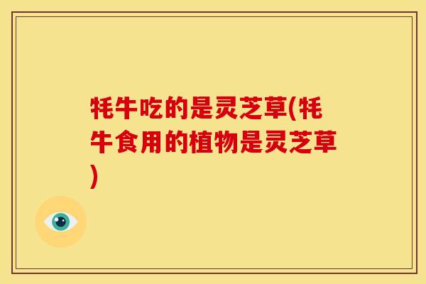 牦牛吃的是灵芝草(牦牛食用的植物是灵芝草)