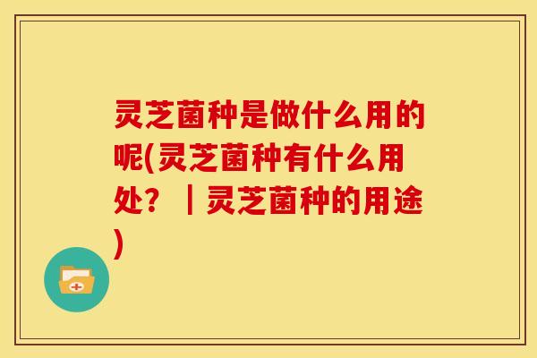 灵芝菌种是做什么用的呢(灵芝菌种有什么用处?|灵芝菌种的用途)